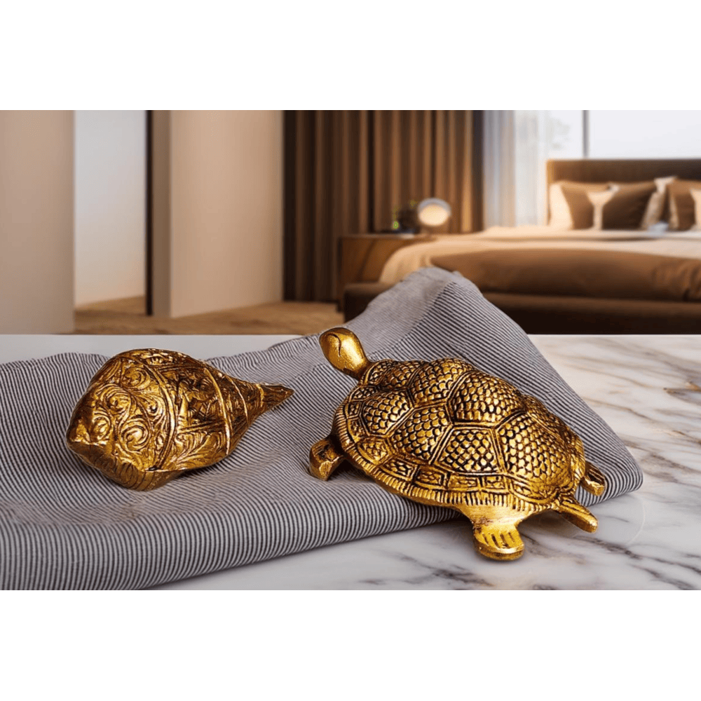 Tortoise with SHANKH